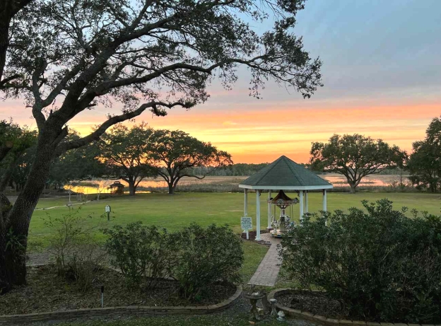 lush florida landscape and carousels