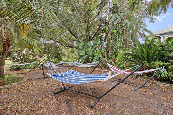Orlando area hammock garden