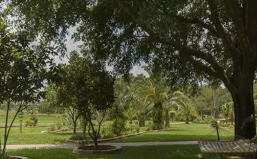 luxury home landscaping