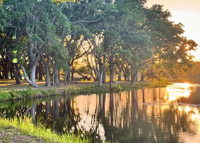 lush florida landscape and outdoor activities
